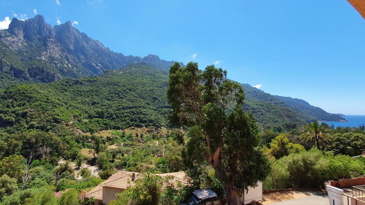 Bella Vista 3*