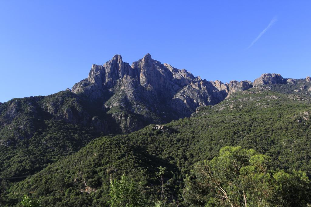 Bella Vista 3*