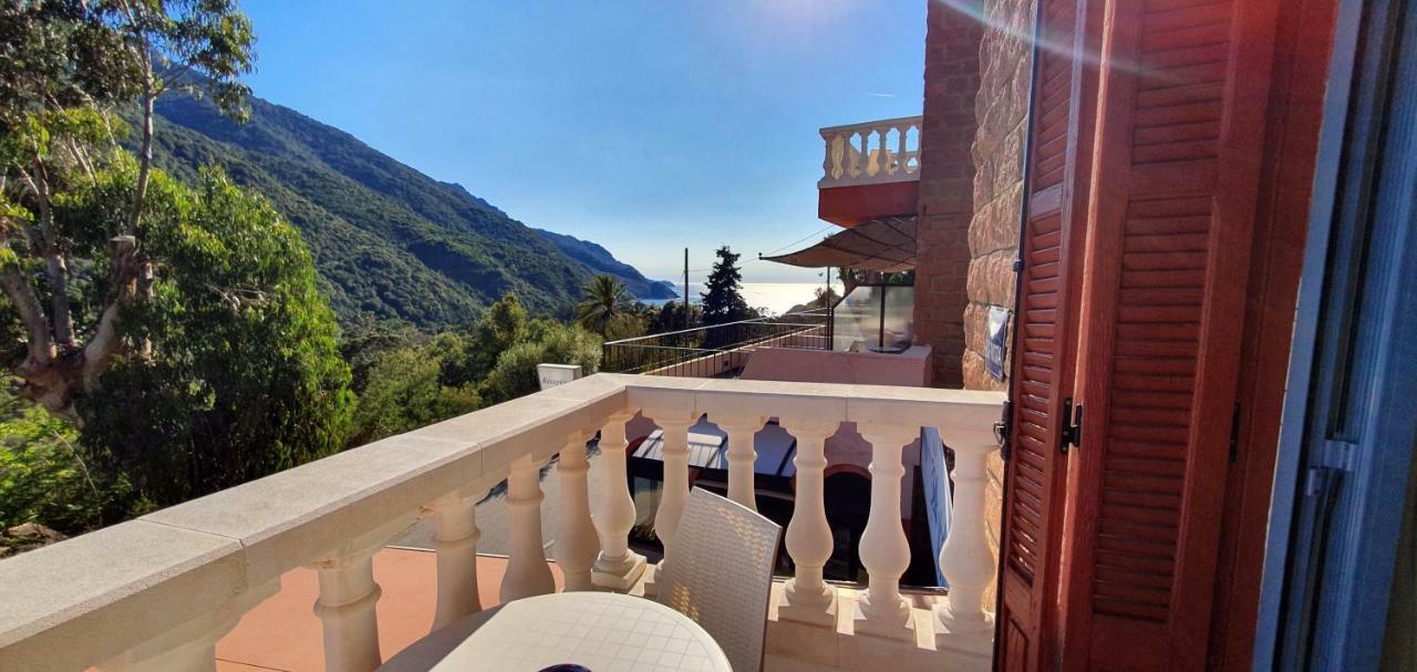 Bella Vista
